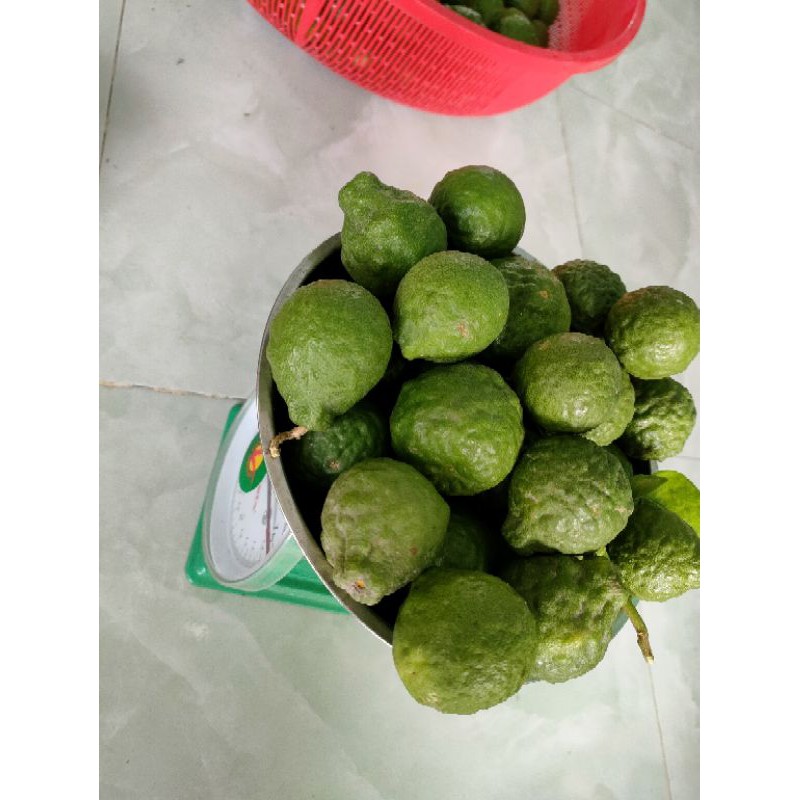 Trái Chúc nhiều tinh dầu, rất thơm | BigBuy360 - bigbuy360.vn