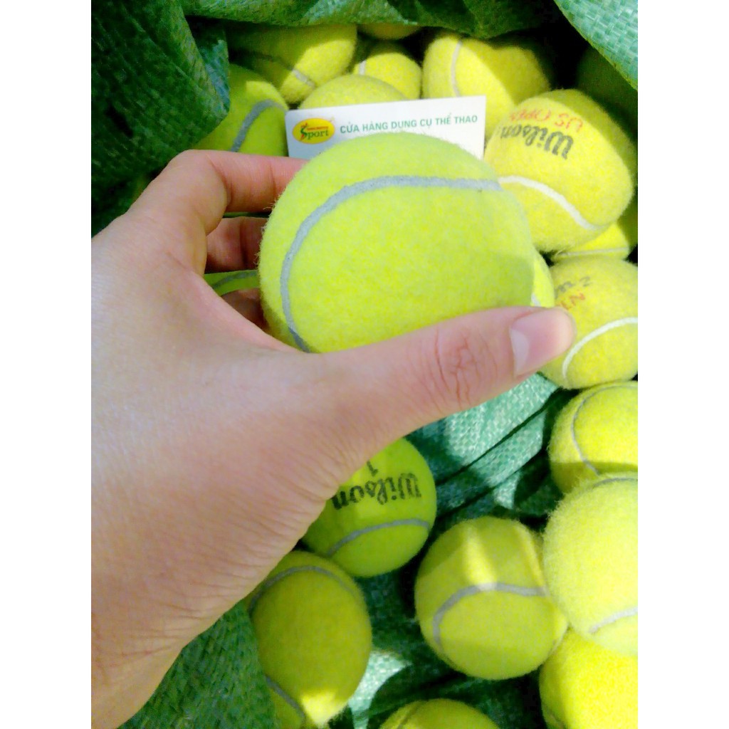 Bóng tennis Cũ