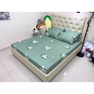 Bộ ga chun và 2 áo gối 🏵️Freeship🏵️ Emmidecor - mẫu hoa xanh ngọc