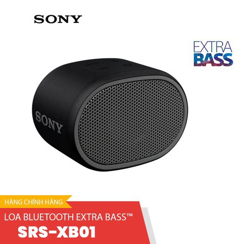 Loa Bluetooth Extra Bass Sony SRS-XB01 chính hãng
