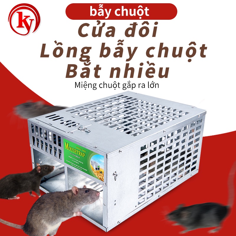 Bẫy Chuột Liên Tục Hai Cửa Bằng Hình Học Hiệu Quả Cao Mới Lồng Chuột