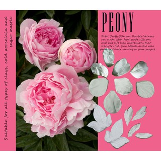 Peony Fullset - Khuôn vân nhựa dẻo hoa đất lấy vân 2 mặt