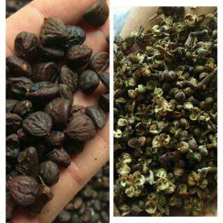 Sỉ như lẻ 500g mắc khén + 0.5g hạt dổi