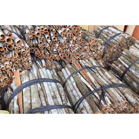 Quế Trà My, Quảng Nam, hàng sạch đẹp thơm phức 100 gram