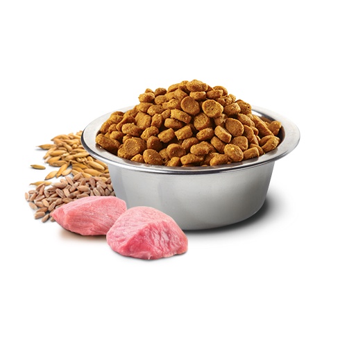 Thức Ăn Cho Mèo - Hạt N&D Ancestral Cho Mèo trưởng thành công thức gà, yến mạch & lựu 5Kg