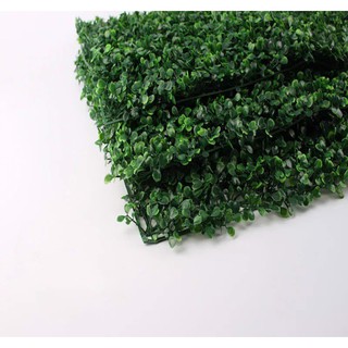 Thảm cỏ Xoong (60x40)