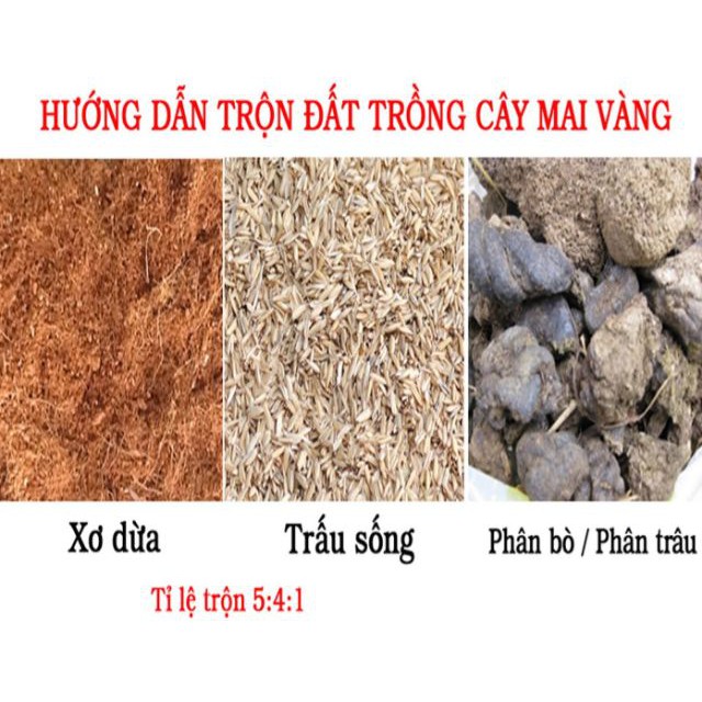 VỎ TRẤU TRỒNG CÂY GIỮ ẨM - 300gr/ gói