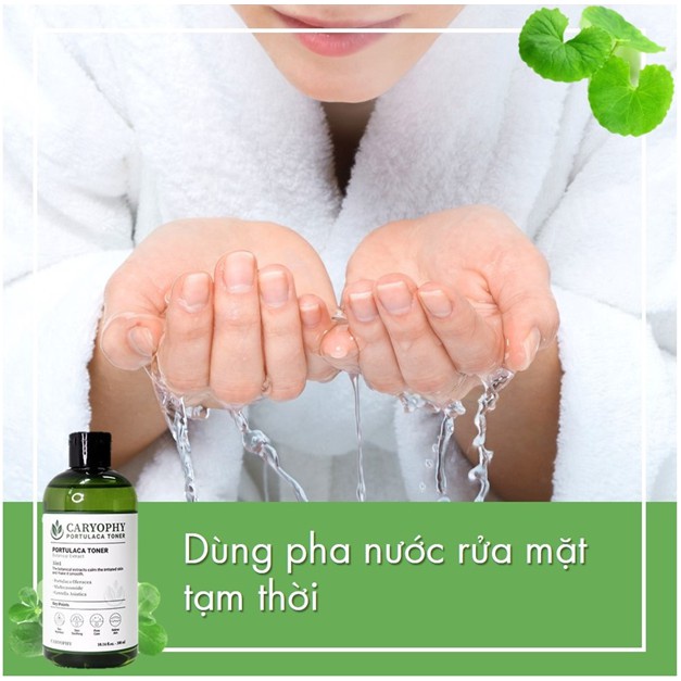 Nước Hoa Hồng Ngừa Mụn Kiềm Dầu Giảm Thâm Caryophy Portulaca Toner 300ml
