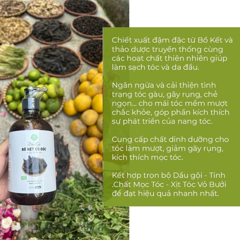 Dầu gội đầu bồ kết cô đặc/dầu xả dừa giúp kiềm dầu, sạch gàu, nấm, ngứa, ngăn ngừa rụng tóc