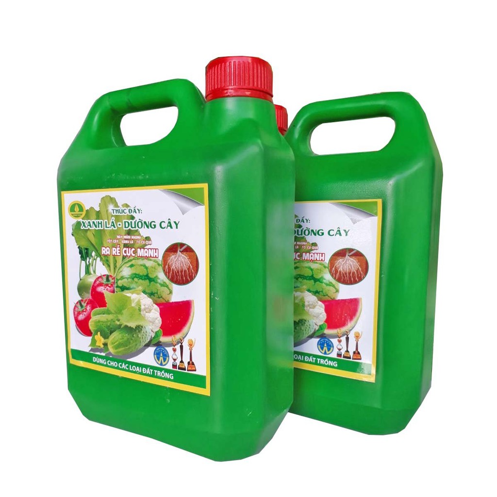 Phân bón sinh học Rong biển, Trùn quế, Humatte, Vi lượng, Nấm đối kháng tốt cây " xanh lá - to củ quả" Can 2000ml