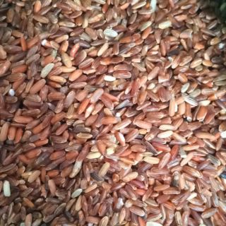 Gạo lứt đỏ huyết rồng yên bái 1kg