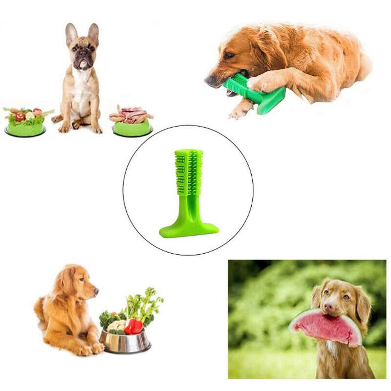 Size M/L/XL Đồ cắn mài răng cho thú cưng Pet Rubber Molar Stick