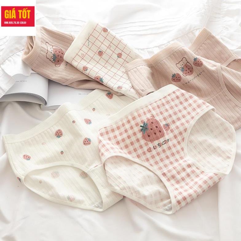 Quần chip cotton cho be gái 20kg 30kg 40kg  ☑️ quần lót trẻ em nữ   ☑️ Thời trang cho bé gái 13 tuổi