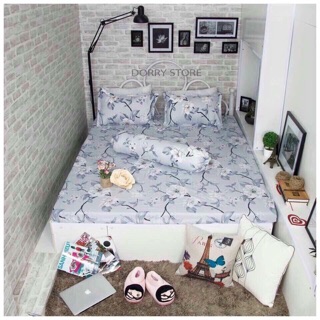 Bộ Drap cotton poly 