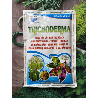 Trichoderma - men ủ phân hữu cơ vi sinh, nấm đối kháng ,ủ rác nhà bếp,hạn chế vàng lá,nấm bệnh,cải tạo đất-gói 500gr