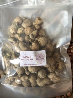 100gr Củ tam thất nam