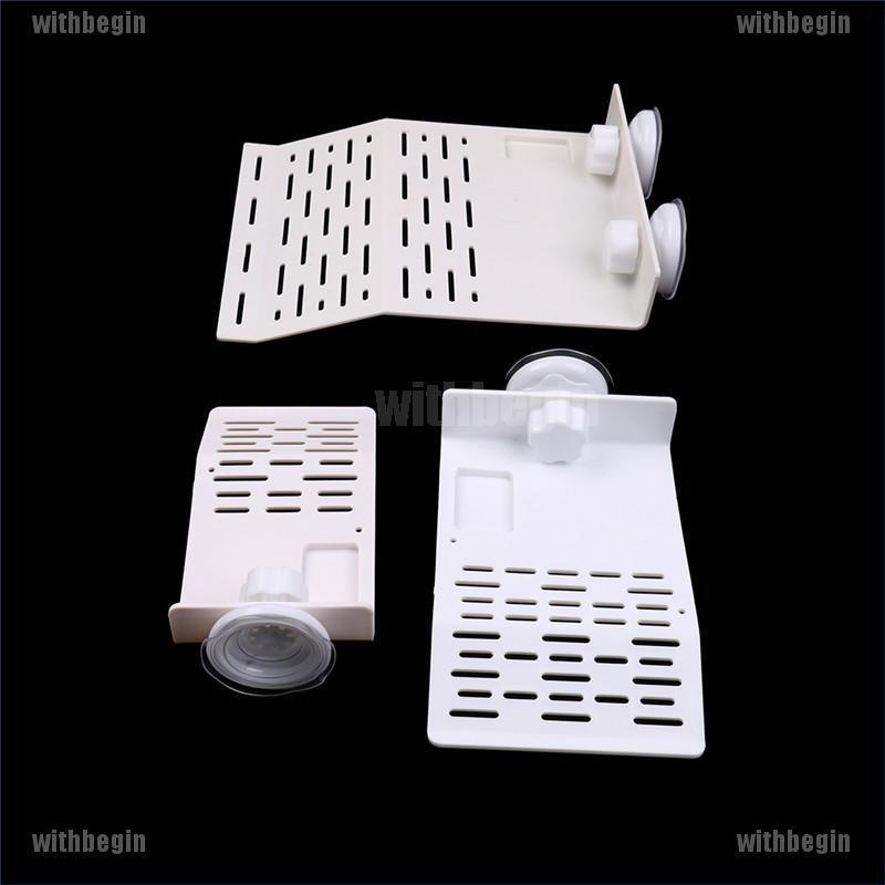 [GIN] Hòn Đảo Hồ Cá / Rùa Leo Trèo