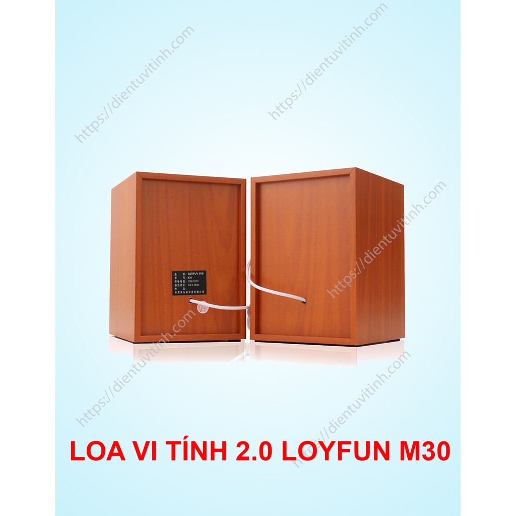 Loa Vi Tính 2.0 Loyfun M30