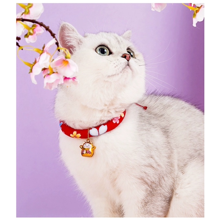 Vòng cổ cho mèo phong cách Nhật bản - Mẫu mới Mèo Thần Tài - Có dây chỉnh kích cỡ