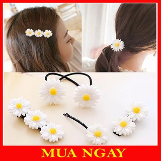 Dây Chun Kẹp Tóc Cúc Họa Mi Siêu Hot