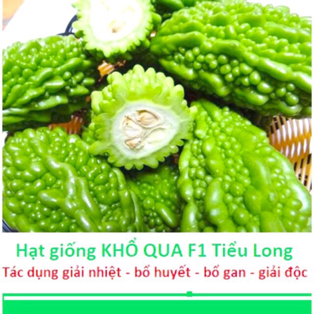 Hạt giống mướp đắng, khổ qua trái lớn