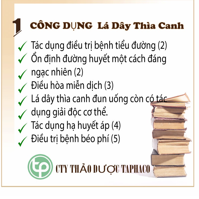 Dây thìa canh khô - Thảo Dược Tấn Phát