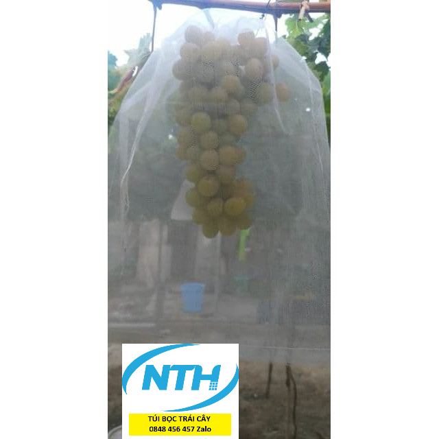 COMBO 100 TÚI BỌC,BAO NA THÁI .NHO,NHÃN,BƠ 034,XOÀI,KHỔ QUA.,MẬN...