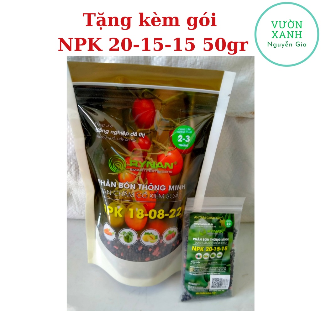 Phân Bón Thông Minh Tan Chậm RYNAN NPK 18-08-22 - Túi 500g