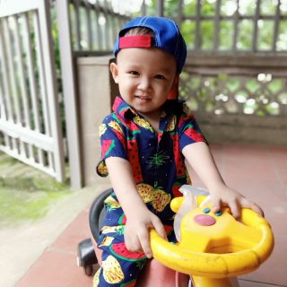 Combo6 bộ lanh trái cây