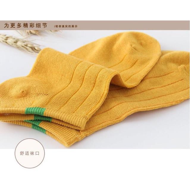 Set 10 Đôi Tất Gân Vintage Cổ Ngắn Kháng Khuẩn (Nhiều Màu)-