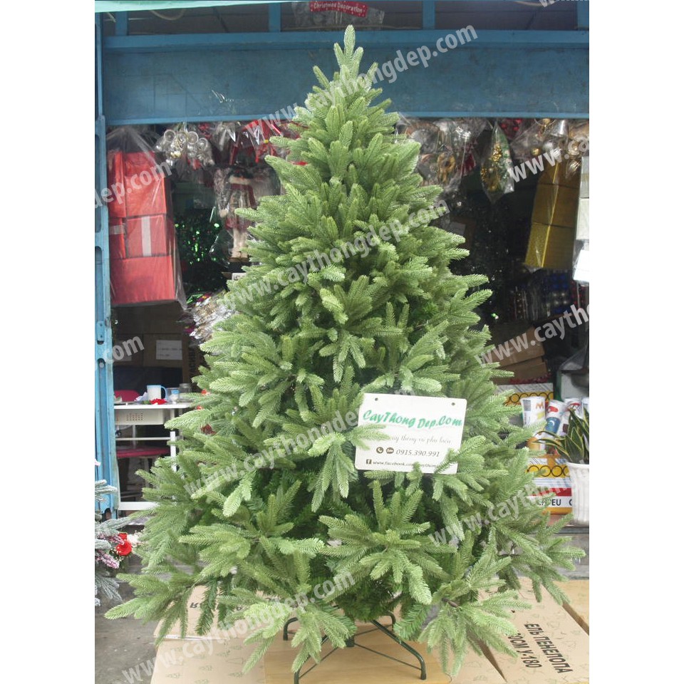 CÂY THÔNG PE XANH 2M TẶNG DÂY KIM TUYẾN, NGÔI SAO XI BÓNG VÀ ĐẾ GIẤY TRANG TRÍ