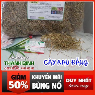 Cây Rau Đắng 500g - Hàng Cao Cấp Thuốc Nam Thanh Bình