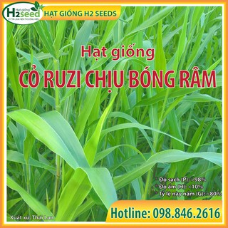 Hạt Giống Cỏ Ruzi - Gói 300g - Cỏ Siêu Giàu Dinh Dưỡng Cho Chăn Nuôi Bò, Dê, Cừu, Thỏ, Cá...