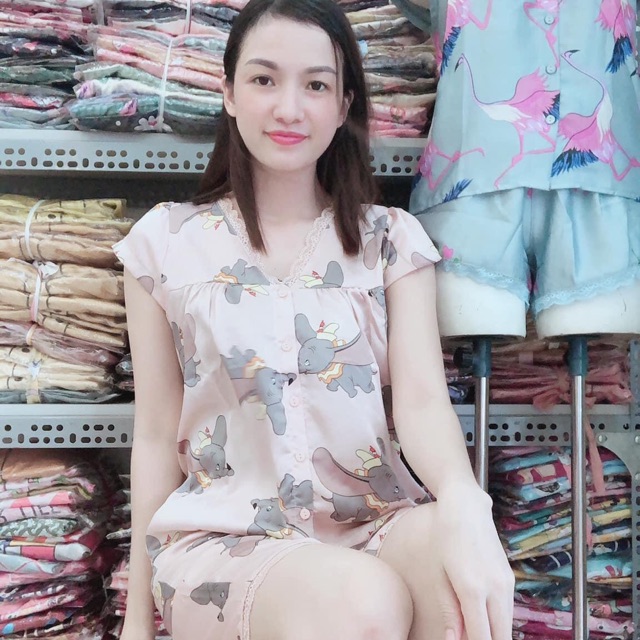 Đồ bộ lửng cánh tiên