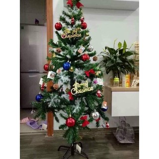 cây thông noel