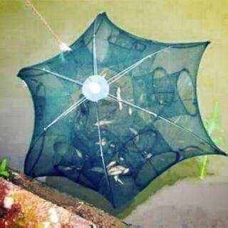 Lồng bát quái 12 cửa giá rẻ