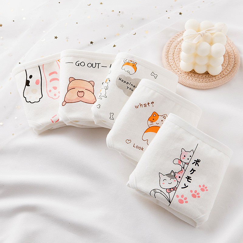 Set 5 quần lót nữ cotton dễ thương họa tiết mèo Go out_NuciFera