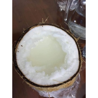 Dừa Sáp Loại 2 Cơm Lỡ Cơm Vừa Nước Lỡ