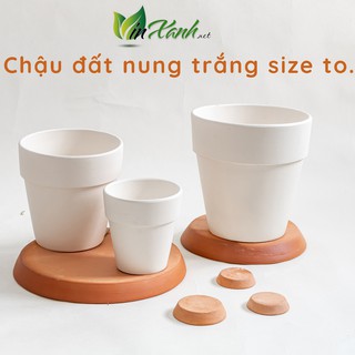 Combo 5 chậu đất nung 7x7cm