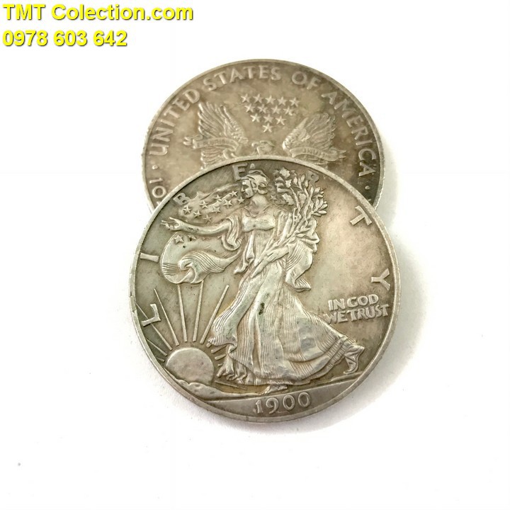 Xu Mỹ 1 Dollar Liberty 1900 FAKE; Màu Bạc gỉ; Đường kính của xu 4cm- SP005320