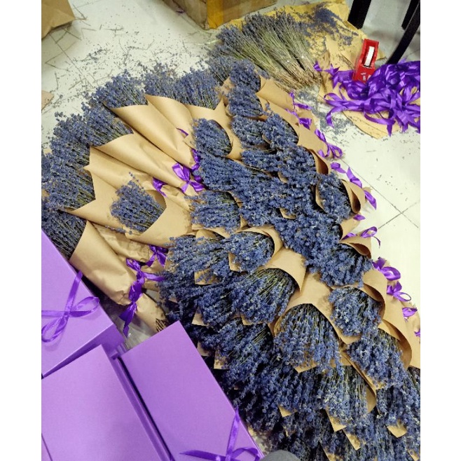 Bó hoa oải hương lavender khô 100 cành bó giấy kraf dễ thương