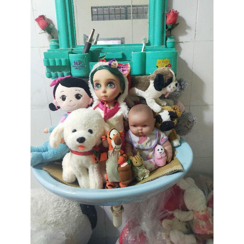 gấu của kha như