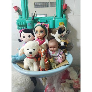 Gấu của kha như