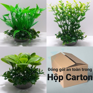 COMBO (3 loại) 3 chậu cây cỏ nhựa 2 tầng dùng để trang trí hồ cá , tiểu cảnh, bàn học, bàn làm việc.