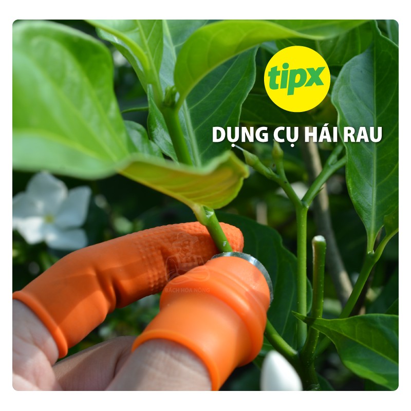 Dụng cụ hái rau, củ, quả tiện dụng bảo vệ ngón tay -Tipx