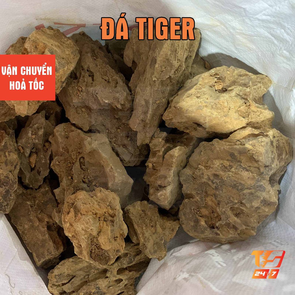 1kg Đá Tiger Setup Hồ Cá, Bể Thuỷ Sinh - Tiểu Cảnh Trang Trí Sân Vườn