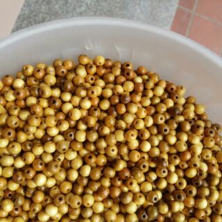 Hạt dau xịn