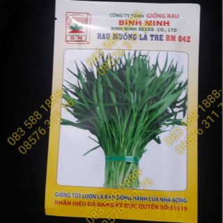 Hạt rau muống ngọn nhỏ 50gr