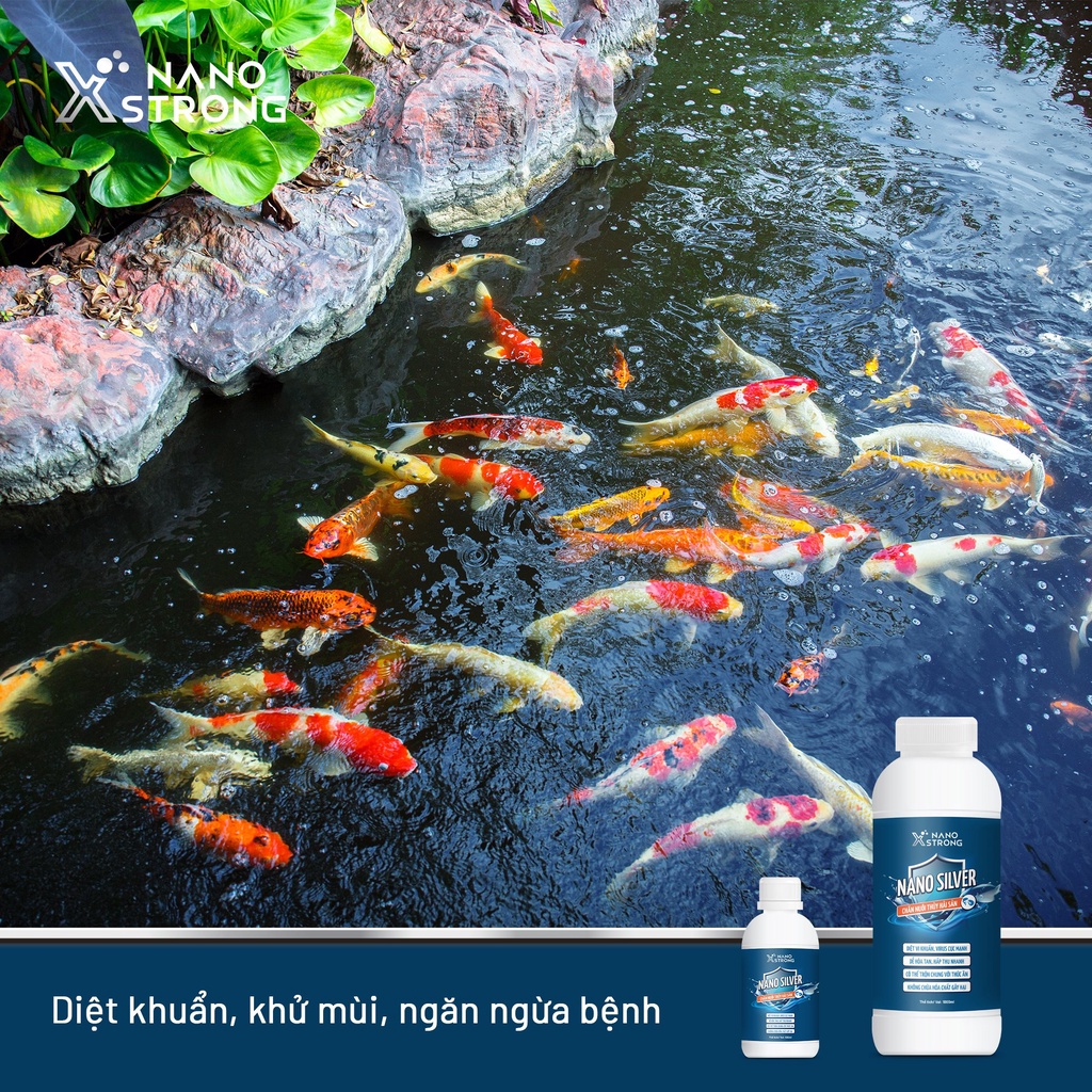 NANO BẠC  AHT CORP  THUỶ SẢN XỬ LÝ NƯỚC AO NUÔI, XỬ LÝ TẢO, MÙI HÔI TANH, LÀM TRONG BỂ CÁ CHAI 1000ML