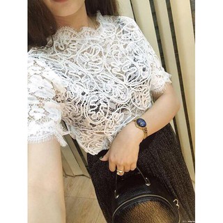 Áo ren nữ cao cấp